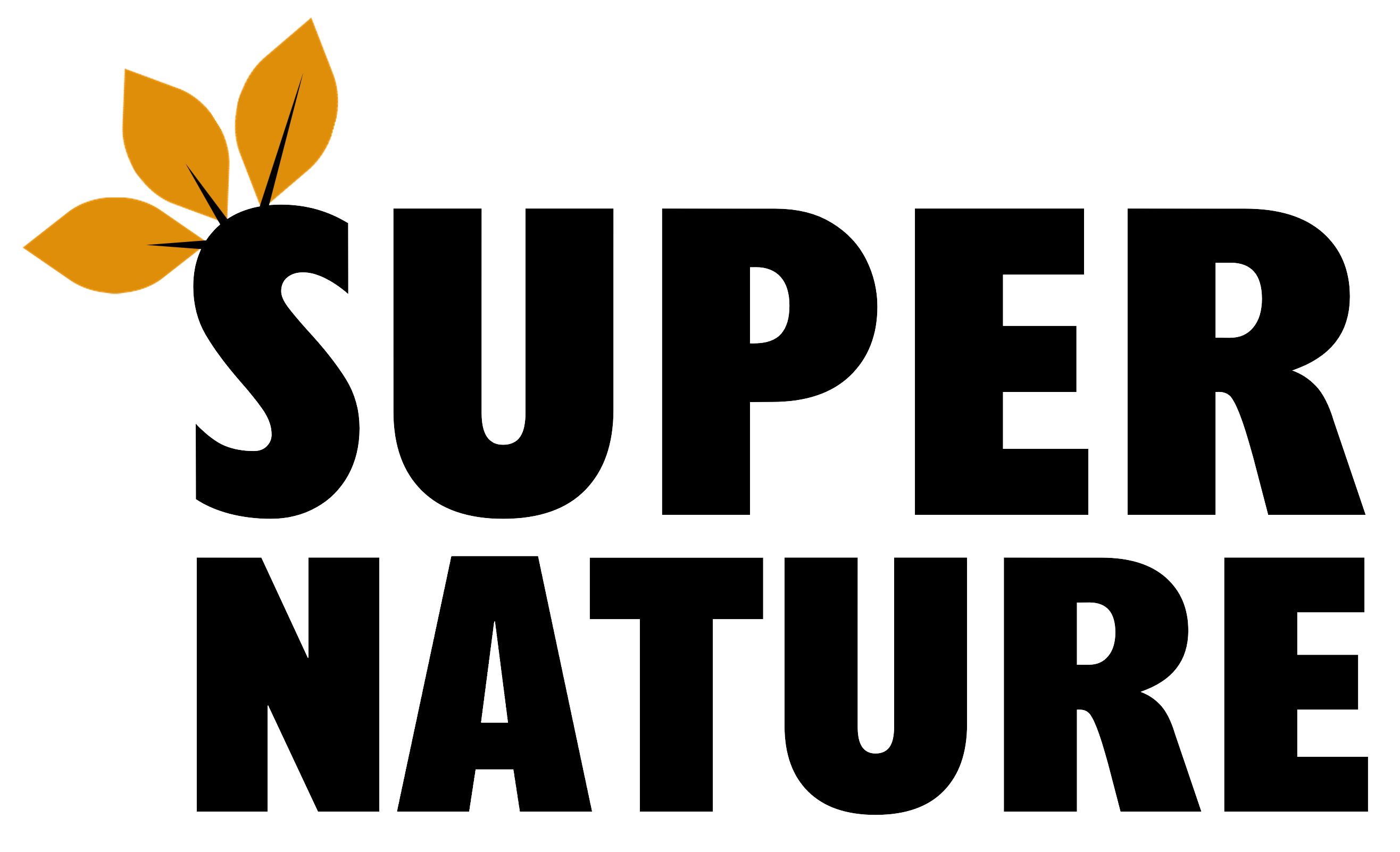 LOGO_8038cb95-3a4b-4939-9d60-